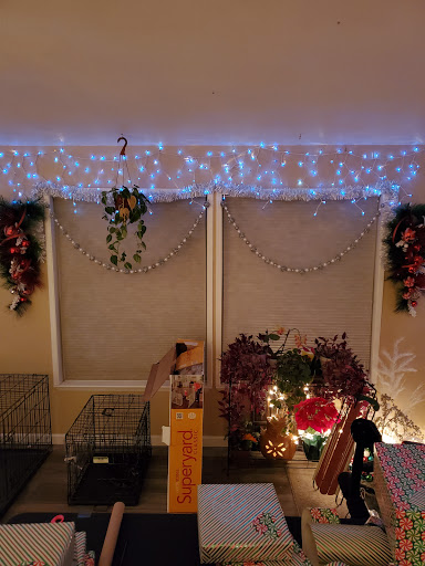 Craft Store «Michaels», reviews and photos, 165 Los Altos Pkwy, Sparks, NV 89436, USA