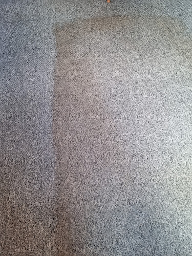 Comments and reviews of Scotclean Carpet Cleaners