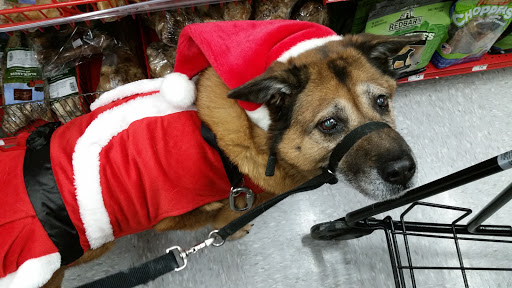 Pet Supply Store «Petco Animal Supplies», reviews and photos, G3559 Miller Rd, Flint, MI 48507, USA