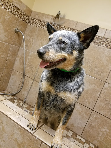 Pet Supply Store «Rucker Pet & Wild Bird», reviews and photos, 4335 Bethelview Rd, Cumming, GA 30040, USA