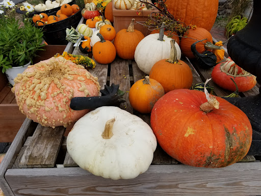 Garden Center «Riverside Nursery Garden Center & Florist», reviews and photos, 56 River Rd, Collinsville, CT 06019, USA