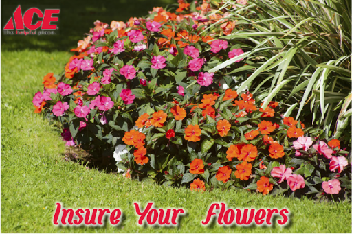 Hardware Store «Ace Hardware Bon», reviews and photos, 2300 N Wahsatch Ave, Colorado Springs, CO 80907, USA