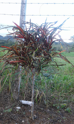 King Auto Sales, 5053 Mission Blvd, Montclair, CA 91763, USA, 