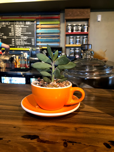 Coffee Shop «Island Joes Coffee and Gallery», reviews and photos, 13919 S Padre Island Dr, Corpus Christi, TX 78418, USA