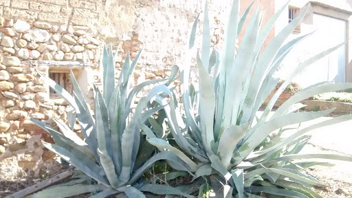 Talleres AscacibaR en El Redal, La Rioja