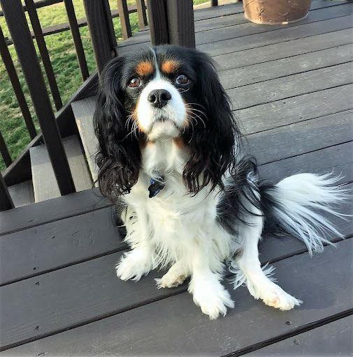 5663 Steubenville Pike, McKees Rocks, PA 15136, USA