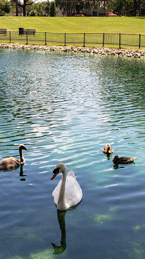 Coffee Shop «Starbucks», reviews and photos, 102 E Irving Park Rd, Itasca, IL 60143, USA