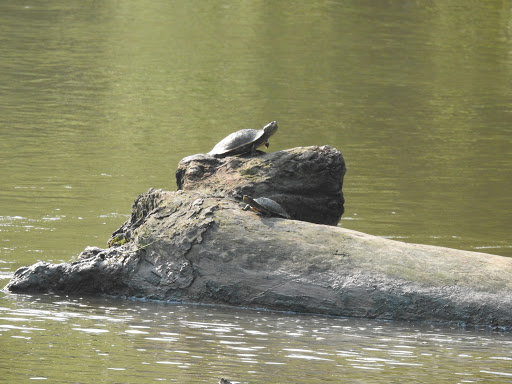 Park «Beckley Creek Park», reviews and photos, 1411 Beckley Creek Pkwy, Louisville, KY 40245, USA