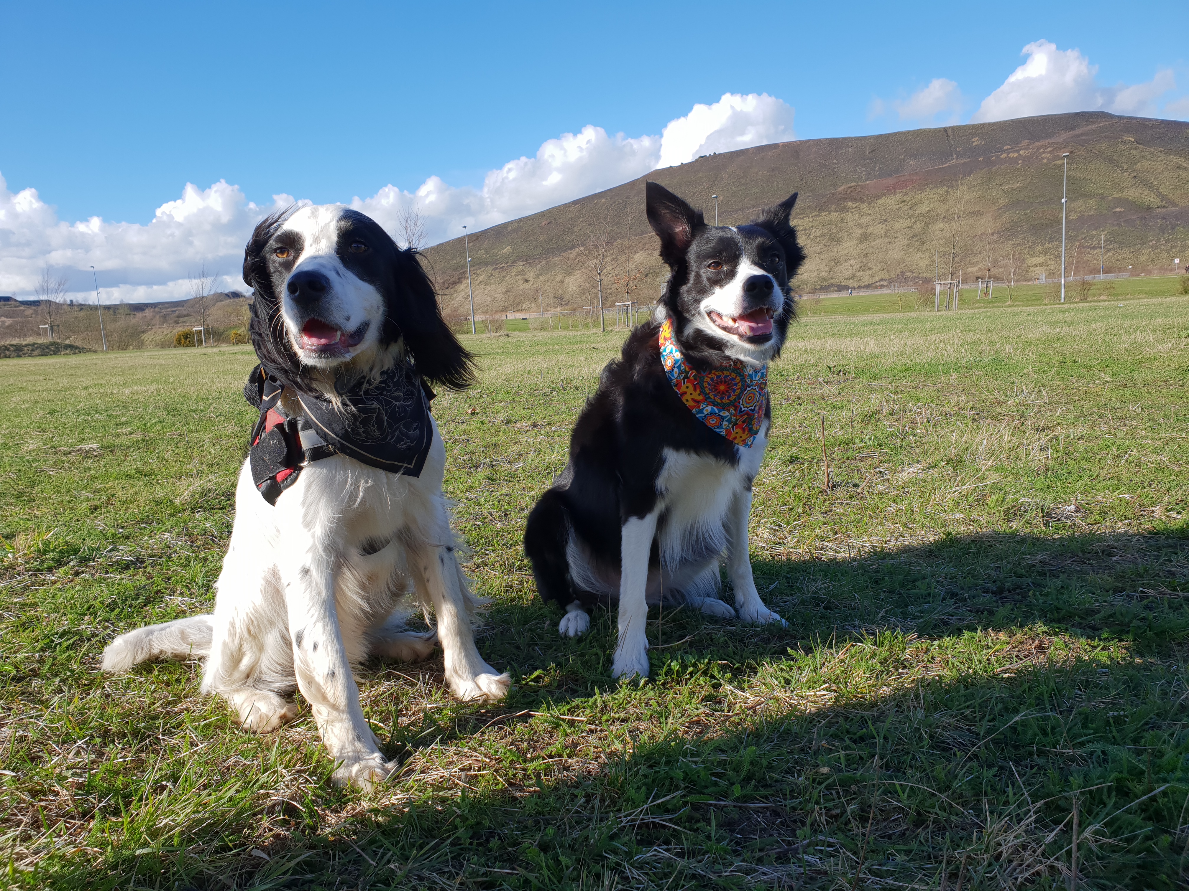 Photo n° 7 de l'avis de Cassandre.I fait le 19/03/2019 à 18:50