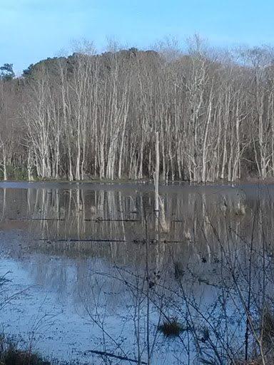 Public Golf Course «Lagoon Park Golf Course», reviews and photos, 2855 Lagoon Park Dr, Montgomery, AL 36109, USA