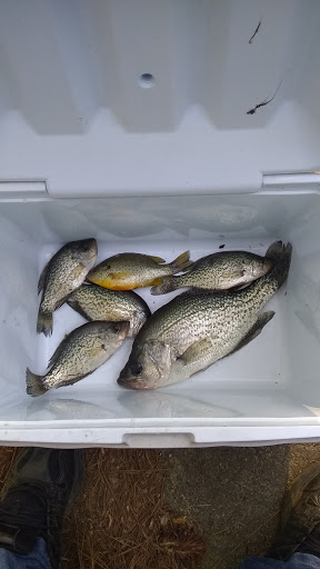 Wildlife Park «Charlie Elliott Wildlife Center», reviews and photos, 543 Elliott Trail, Mansfield, GA 30055, USA