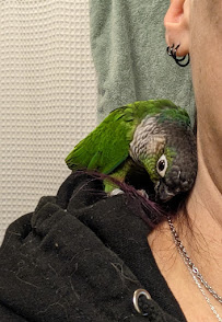 Pet World - Photo 6 - Car repair in Lakewood, CO, Denver