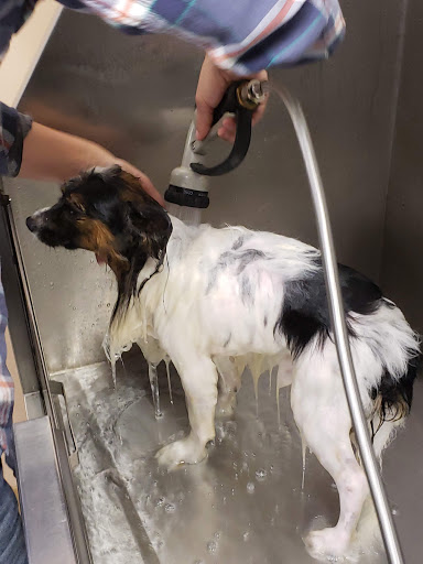 Pet Supply Store «Lemos Feed & Pet Supply», reviews and photos, 1320 Main St, Morro Bay, CA 93442, USA