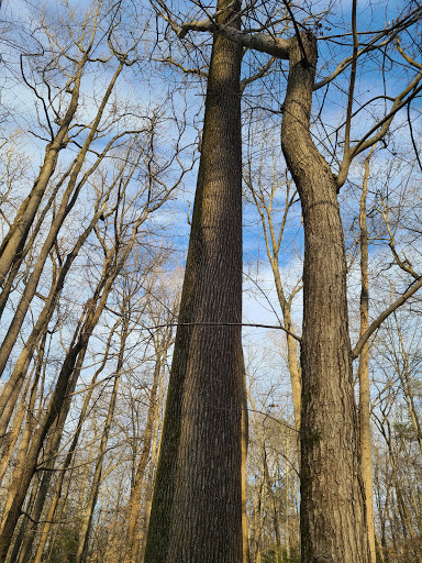 National Park «Greenbelt Park», reviews and photos, 6565 Greenbelt Rd, Greenbelt, MD 20770, USA