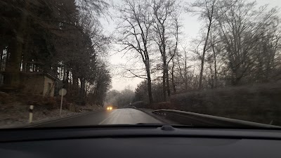Photos of Fraiheetsbam (for&ecirc;t entre Strassen et Bridel)