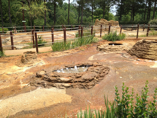 Water Park «Geyser Falls Water Theme Park», reviews and photos, 209 Black Jack Rd, Choctaw, MS 39350, USA