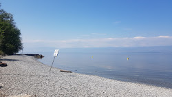 Plage de la Chataigneraie'in fotoğrafı - rahatlamayı sevenler arasında popüler bir yer