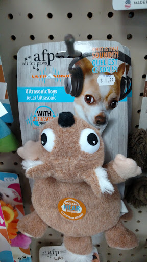 Pet Store «Pet World Ltd», reviews and photos, 14501 Warwick Blvd, Newport News, VA 23608, USA