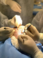 Clínica Regis - Dermatologia em Restauração Capilar