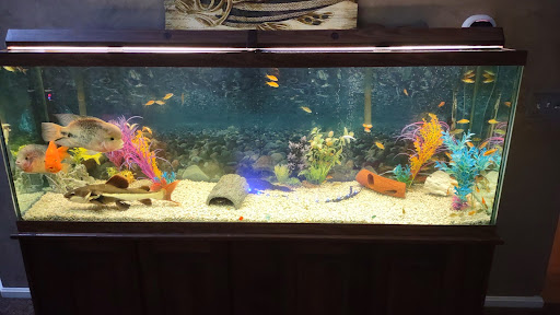 Pet Supply Store «Petco Animal Supplies», reviews and photos, 35860 Chester Rd, Avon, OH 44011, USA