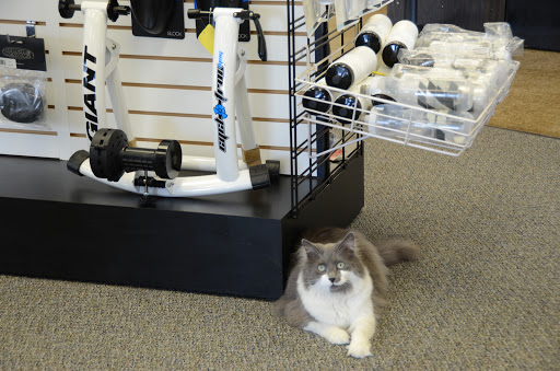 Bicycle Store «Kokomo Cycling & Fitness», reviews and photos, 1500 E Blvd St, Kokomo, IN 46902, USA