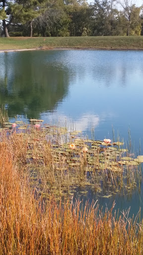 Golf Course «Sunrise Golf Course», reviews and photos, 2136 Michigan Rd, Madison, IN 47250, USA