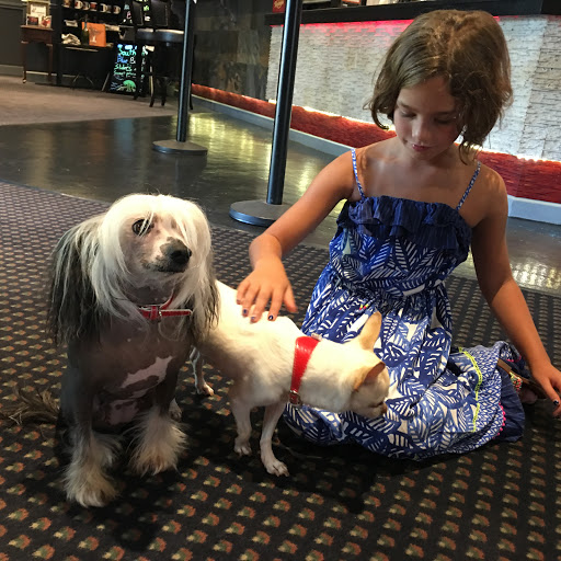 Movie Theater «Park Plaza Cinema», reviews and photos, 33 Office Park Rd #201, Hilton Head Island, SC 29928, USA