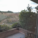 Photo n°8 de l'avis de Angelo.a fait le 07/04/2024 à 21:41 sur le  Farm Alba Del Borgo à Fidenza