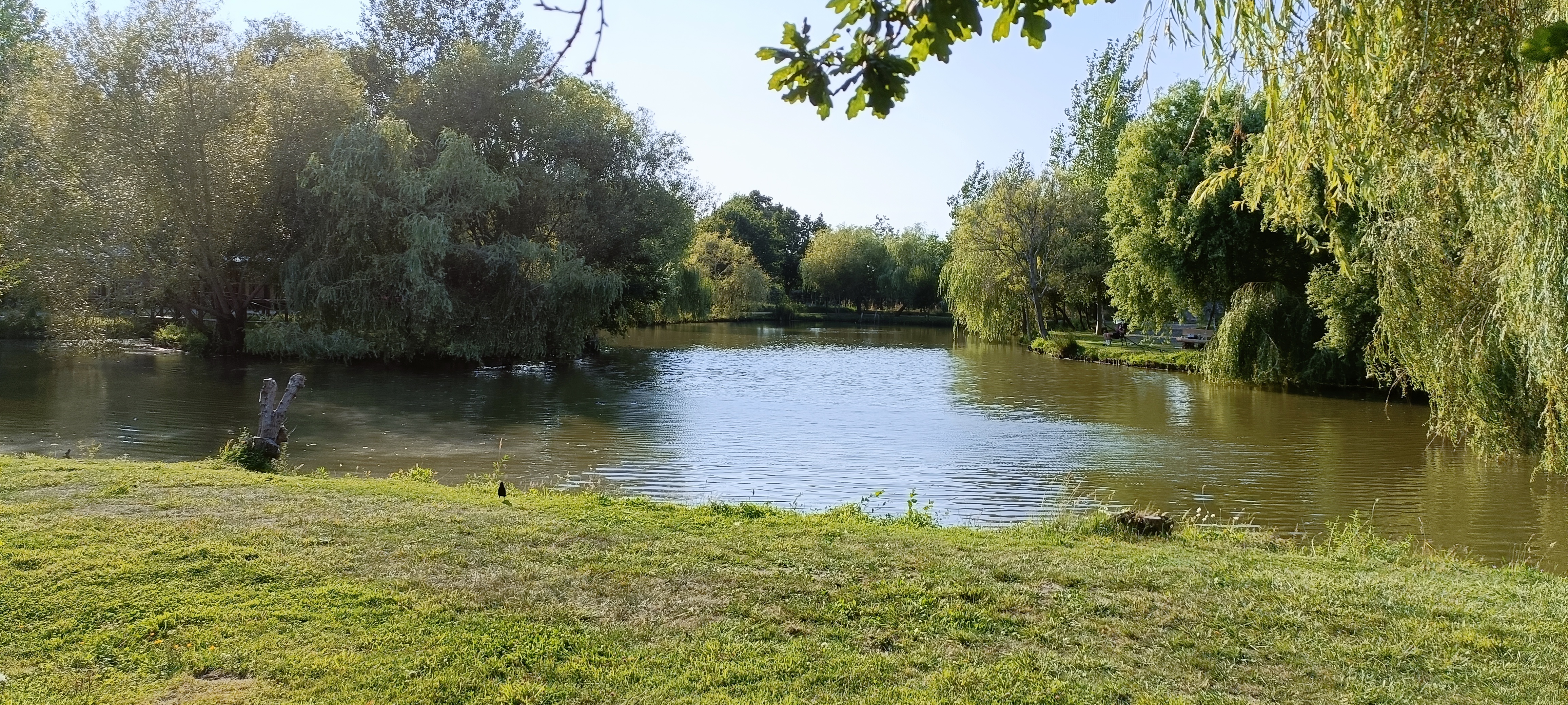 Photo n° 17 de l'avis de Jonathan.� fait le 01/07/2023 à 17:41