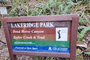 Taylor Creek & Trail image