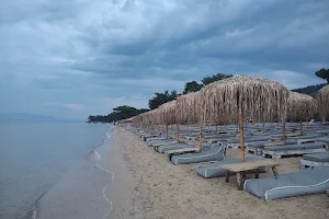 Pachis Beach Bar image