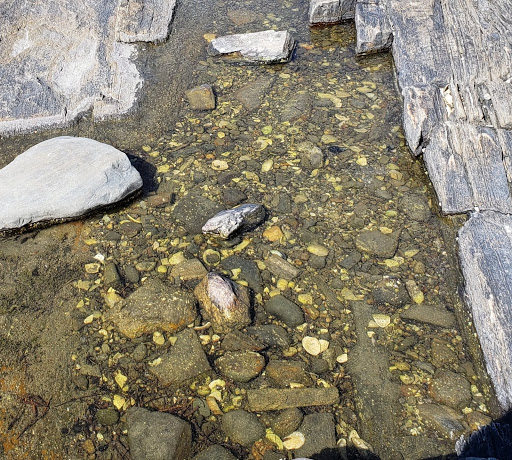 Nature Preserve «Littlejohn Island Preserve», reviews and photos, Pemasong Ln, Yarmouth, ME 04096, USA