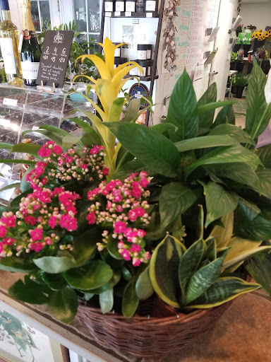 Florist «Blumen Meisters Flower Market», reviews and photos, 111 S Union Ave, New Braunfels, TX 78130, USA