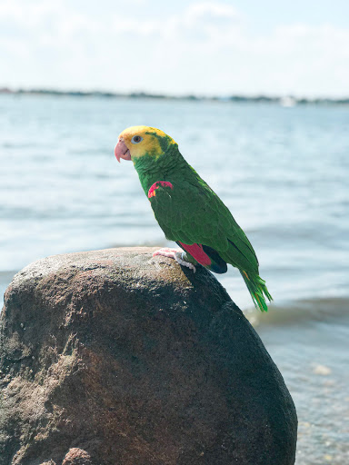 Golf Course «Bay Park Golf Course», reviews and photos, 1 1st Ave, East Rockaway, NY 11518, USA