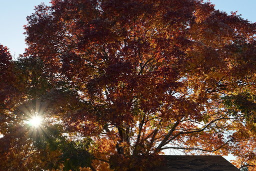 Memorial Park «E.B. Rains Jr. Memorial Park», reviews and photos, 11701 Community Center Dr, Northglenn, CO 80233, USA