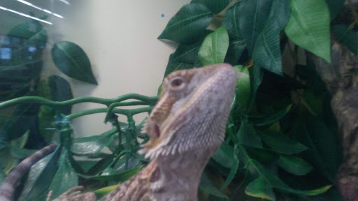 Pet Supply Store «Pet Supplies Plus», reviews and photos, 31029 Harper Ave, St Clair Shores, MI 48082, USA