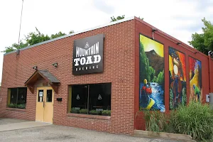 Mountain Toad Brewing image