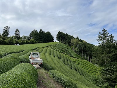 Kyoto Obubu Tea Farms, LLC
