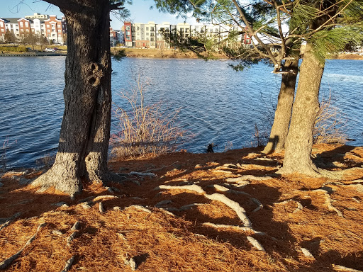 Park «Grandville Gude Park», reviews and photos, 8300 Mulberry St, Laurel, MD 20707, USA