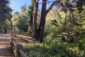 Glen Canyon Trailhead image