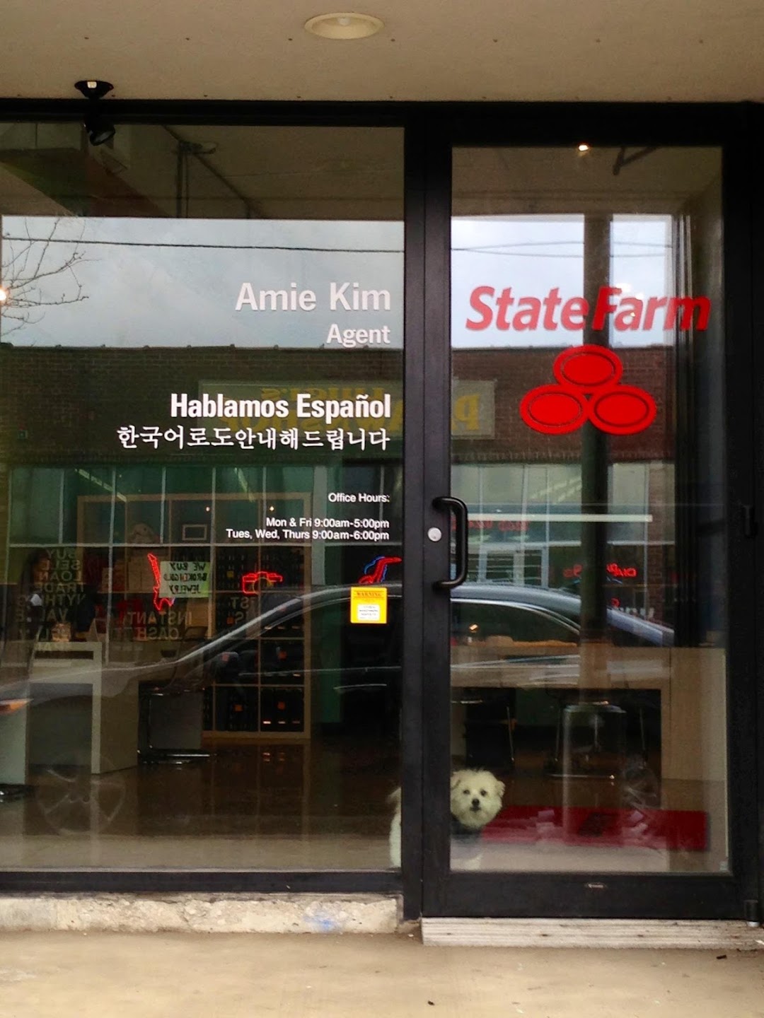 Amie Kim - State Farm Insurance Agent