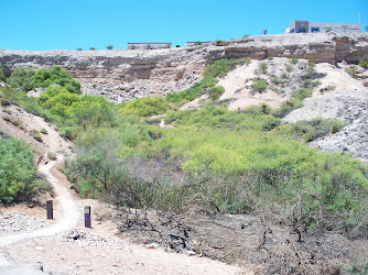 Whitney Mesa Nature Preserve