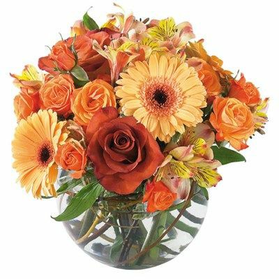 Ortakent Çiçekçilik