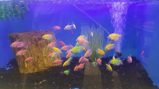 Pet Supply Store «Petco Animal Supplies», reviews and photos, 2277 Ford Pkwy, St Paul, MN 55116, USA