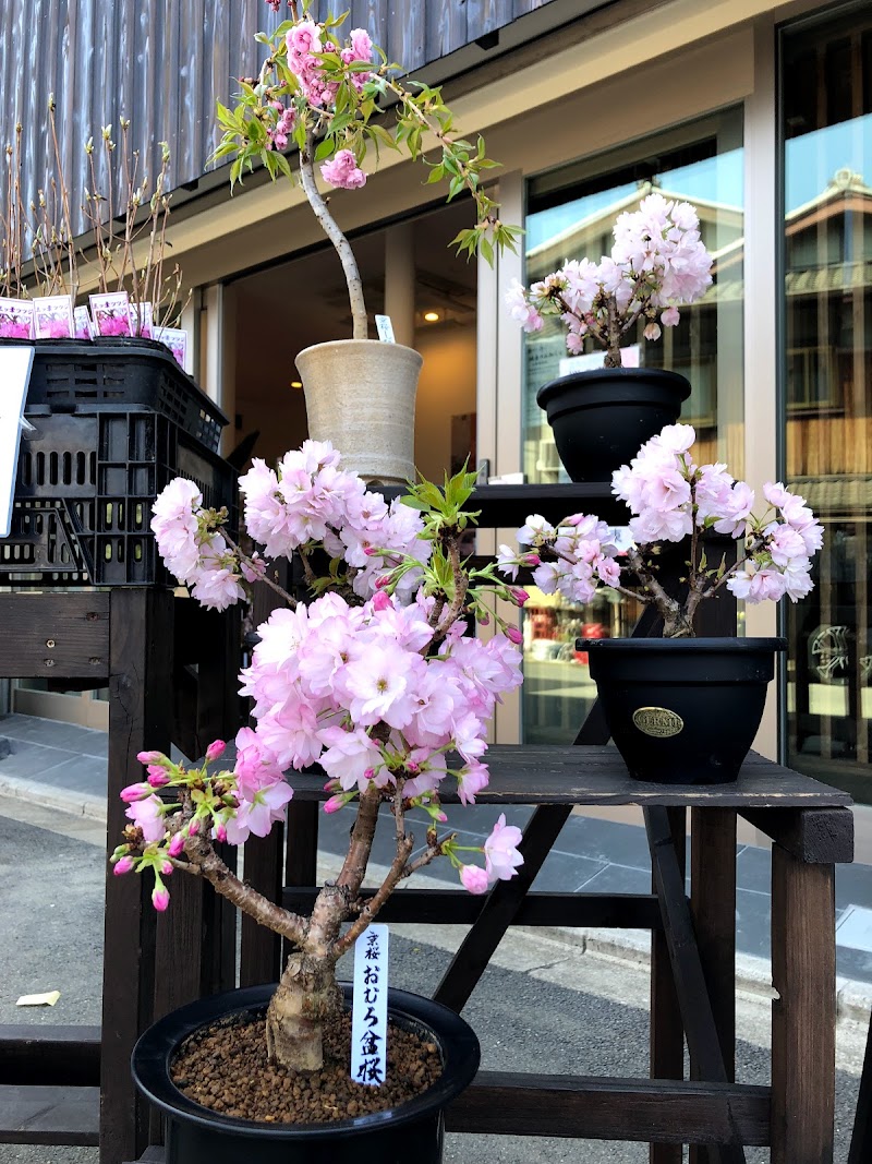 京都花室 おむろ