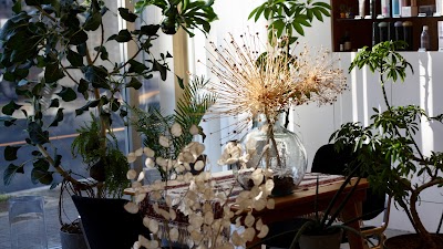 Aen parlor