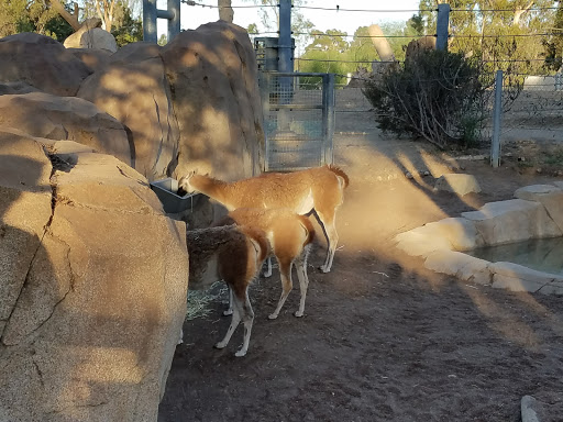 Zoo «Elephant Odyssey», reviews and photos, 2920 Zoo Dr, San Diego, CA 92101, USA