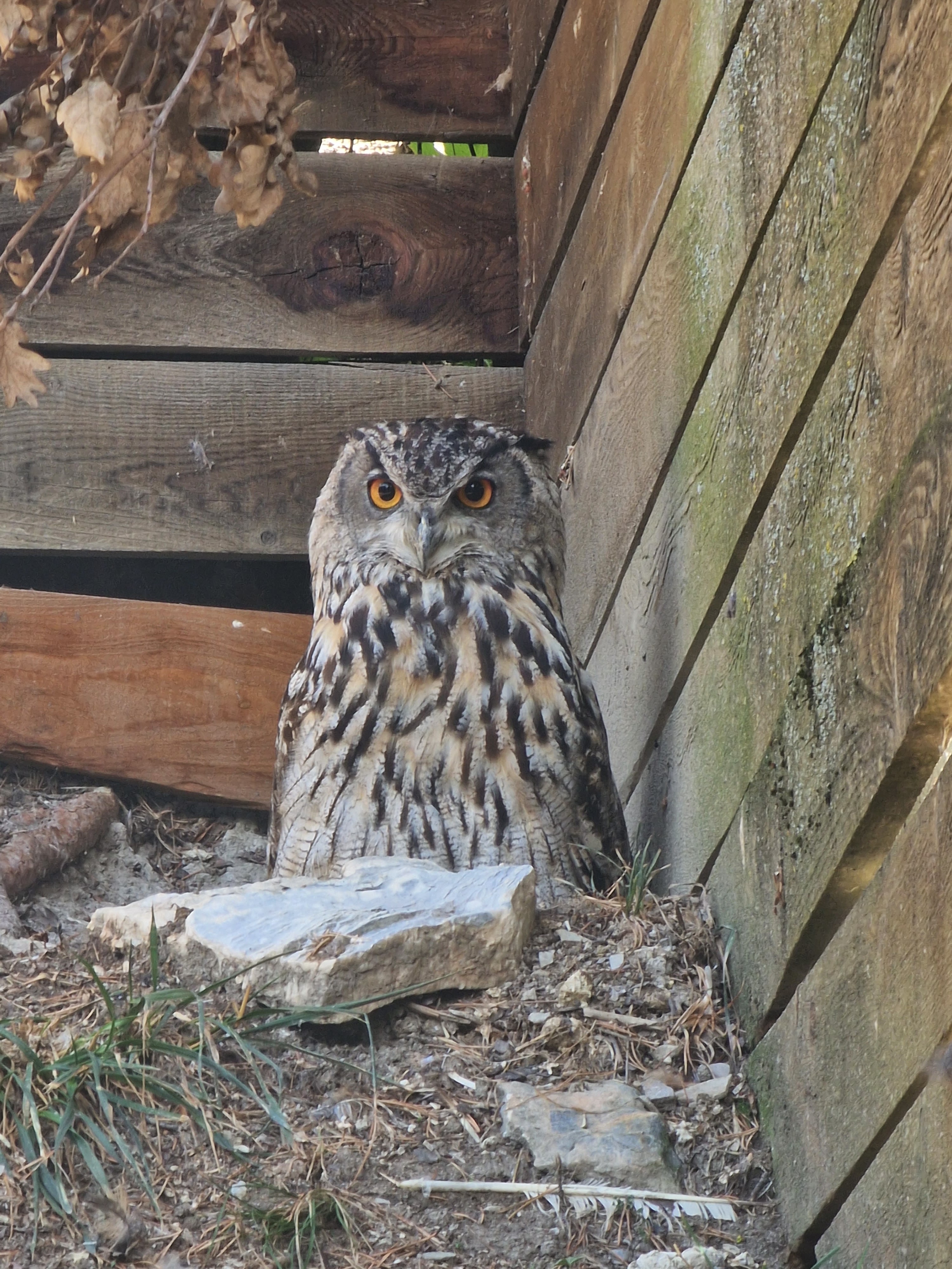 Photo n° 8 de l'avis de Youss.o fait le 30/08/2022 à 07:37