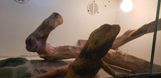 Tropical Fish Store «Harris In Wonderland», reviews and photos, 12 W Main St, Avon, CT 06001, USA