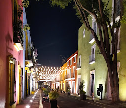 Alley of the frogs photo